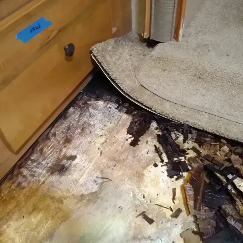 Wood Floor Water Damage in Proctor, MN